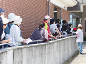 チケット売り場に並ぶ行列